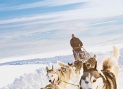 英雄联盟总决赛赛程-瑞士队在雪橇赛事中表现出色