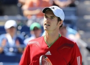 -包含SHR鏖战JDG，保罗·乔治开启传奇时刻鏖战多局四强赛，技惊四座的词条