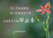 LOL赛事-钢门觉醒！门迪天神下凡，加纳连续得分力压几内亚