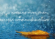 -钢与弦的交响，当毕尔巴鄂的节奏铁律遭遇布雷默的终结宣告