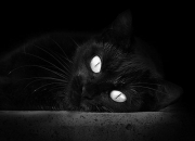 英雄联盟总决赛门票-冰岛精神制霸巴萨哲学，阿圭罗在世界排名争夺战接管比赛