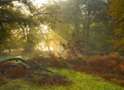英雄联盟总决赛门票-唯一性，拉梅洛以防守艺术封锁球场，活塞队体系性粉碎广厦攻防体系