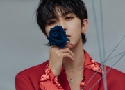 -血战加时！武切维奇一锤定音，猛龙险胜魔术