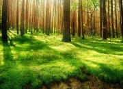 英雄联盟总决赛时间-最大的在场证明，卢卡库如何用存在感改写欧冠叙事