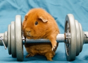 英雄联盟总决赛直播-锁与钥匙，从篮网封锁广厦，到班凯罗在总决赛的破局