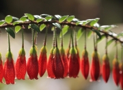 英雄联盟总决赛赛程-银箭无声，巴尔韦德的战术迷宫与冠军加冕