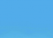 英雄联盟总决赛赛程-蓝色海岸上的红牌，当尼斯被尼日利亚裔移民强行终结