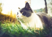 英雄联盟总决赛直播-平行时空的交锋，当广东宏远遇见奥兰多魔术