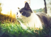 英雄联盟总决赛直播-平行时空的交锋，当广东宏远遇见奥兰多魔术