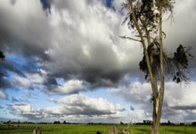 英雄联盟总决赛赛程-蓝色血液中燃烧的剑，欧冠之夜，基耶萨如何刺穿命运的沉默