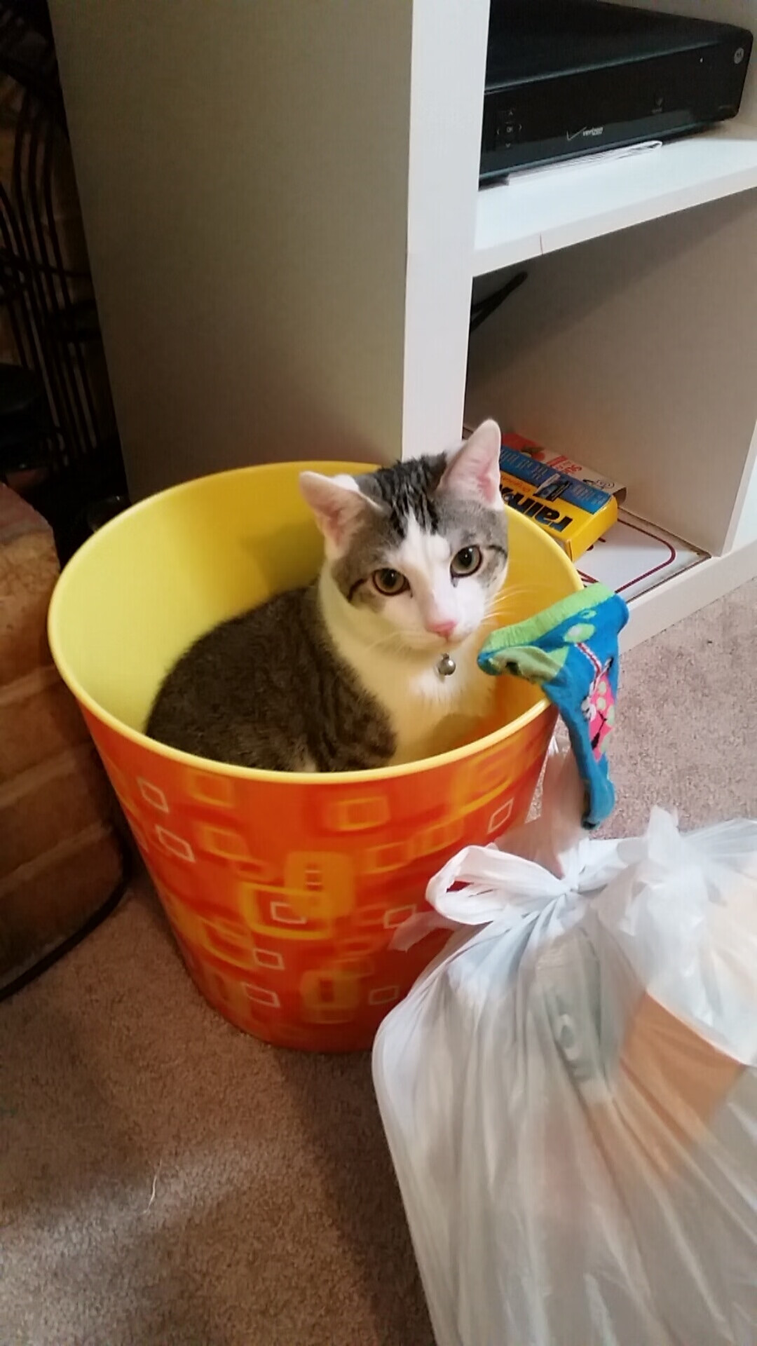 东部西决,绿军生死战拆穿骑士,昂首挺进总决赛