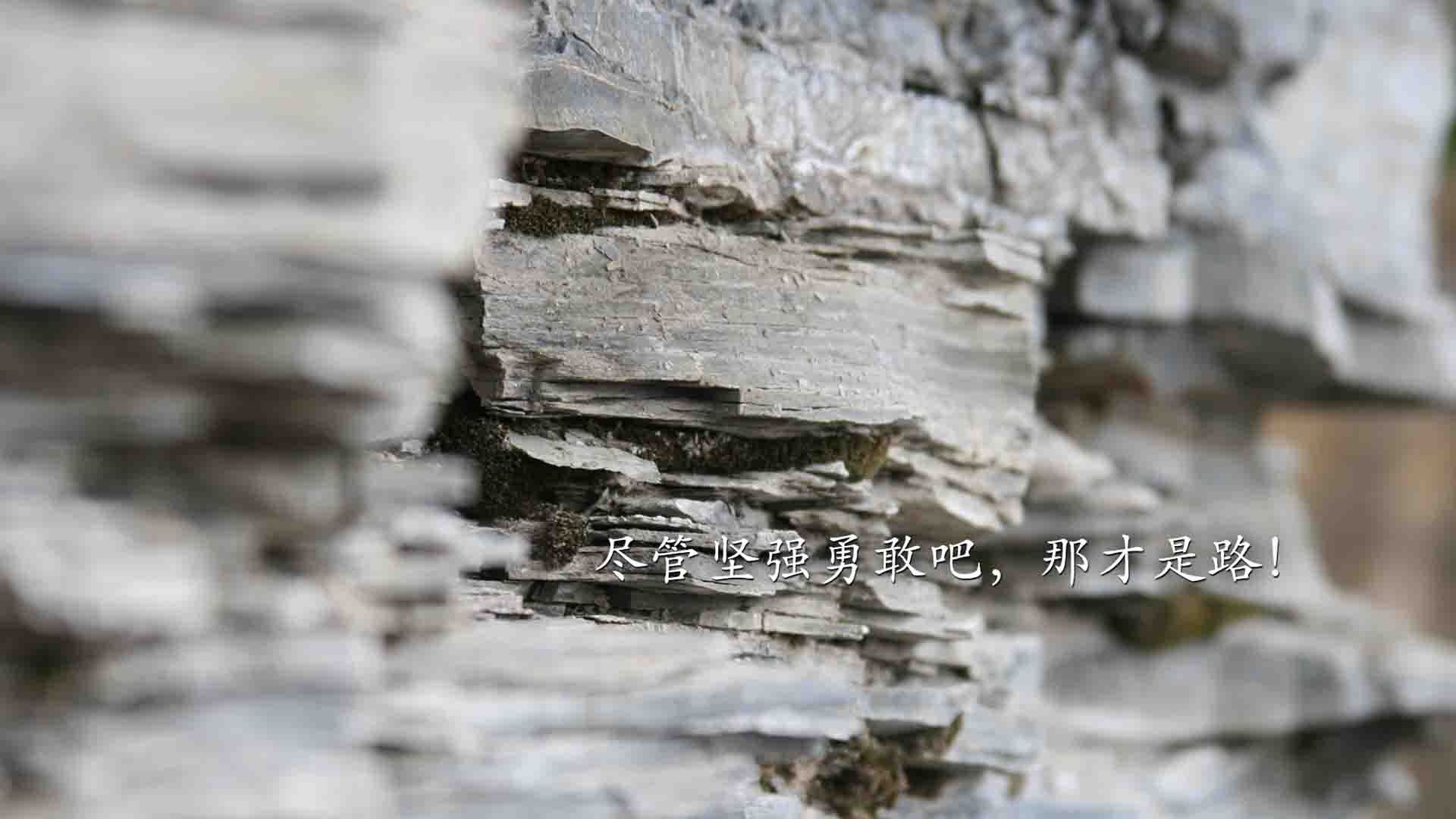 当界限消失,两种世界第一运动的疯狂交替