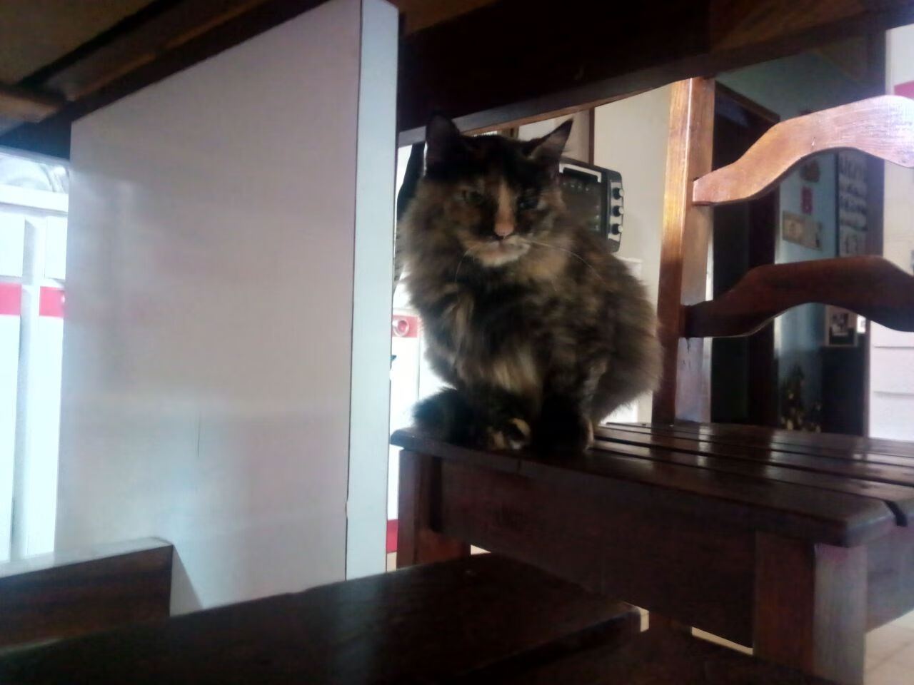 2026世界杯之夜,当德布劳内用数据完成一场数字炼金术