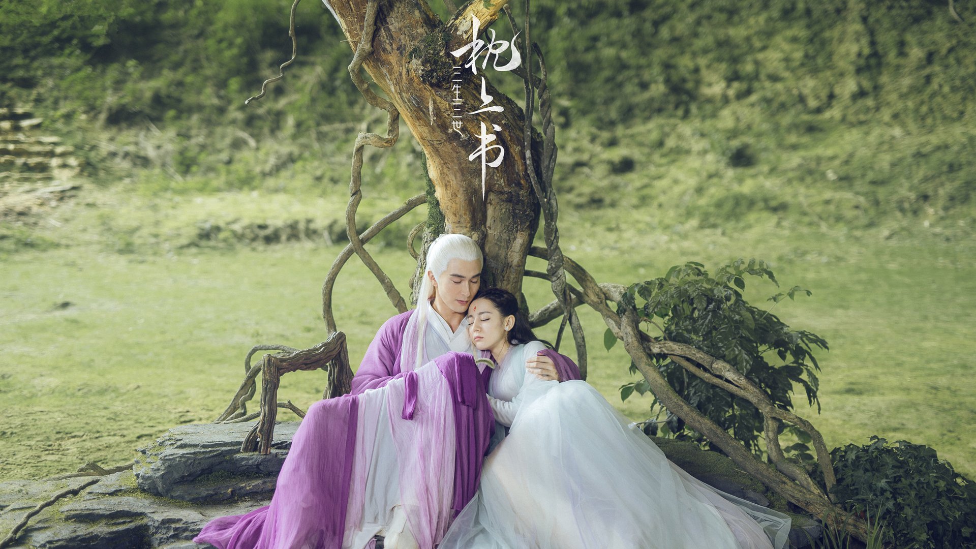 看到你给的这两个关键词,我的脑海中瞬间展开了一幅极富戏剧张力的绿茵画卷。一个是冉冉升起的金童,用才华点亮全场;一个是老辣坚韧的雄狮,用意志扼住命运