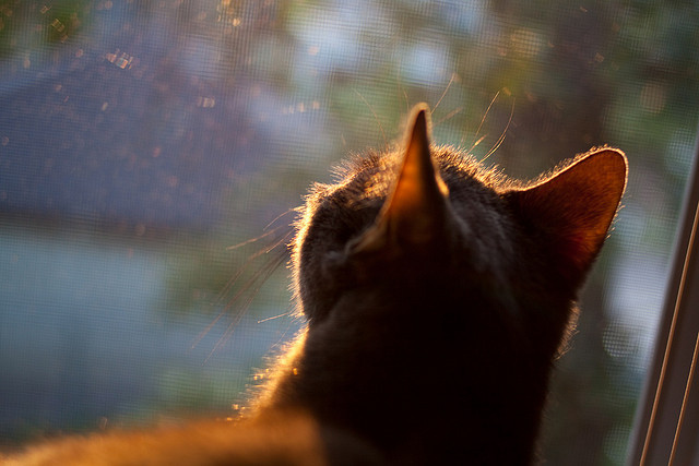双线闪耀,苏格兰压哨绝杀,哈弗茨刷新纪录之夜