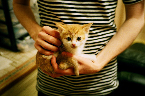 虚实交锋,当福克斯掌控比赛脉搏,深圳铁骑如何改写篮球次元?