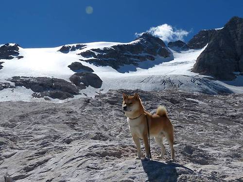 跨越界限，米切尔的71分神迹与魔术队的青涩通关