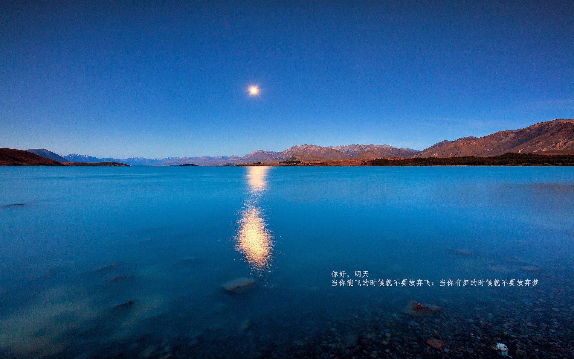 以战术之舟横渡历史长河，勒沃库森如何用现代足球的强压让埃及足球陷入沉思