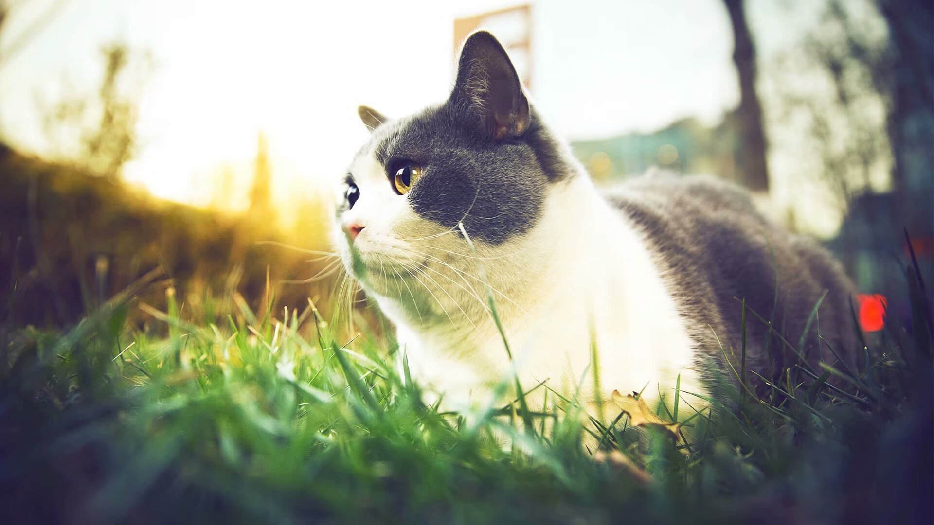 平行时空的交锋，当广东宏远遇见奥兰多魔术