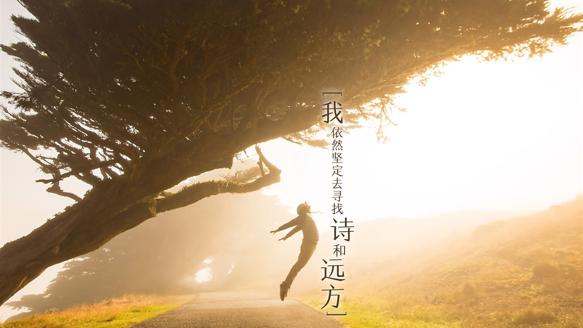 当宿敌撞上孤星,热火谋杀三巨头,西亚卡姆用一场非典型封神改写联盟剧本
